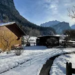 Alpine Streich By Interhome *